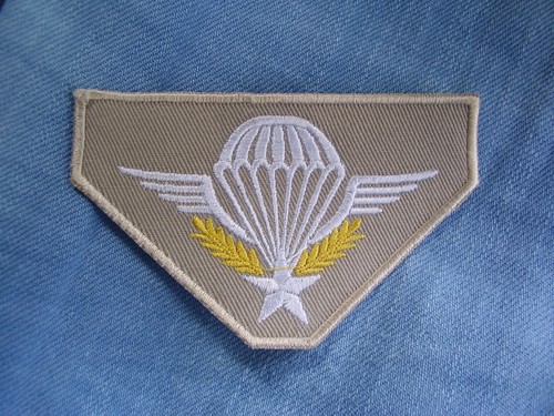 Fallschirmjäger fremdenlegion - fallschirmjäger,