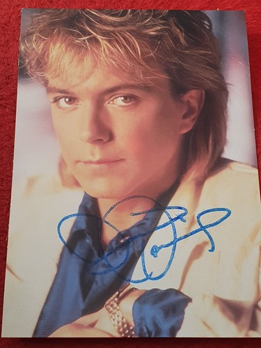 David cassidy patridge - david,