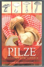 Pilze - Bestimmen und Sammeln
