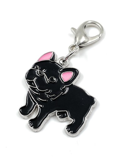 Bulldogge hund haustier - bulldogge,