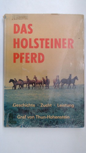 Das holsteiner pferd - das,