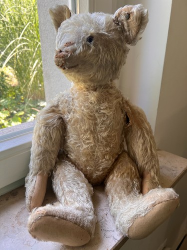 Antiker steiff teddy bär - antiker,