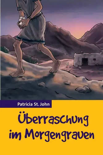 überraschung morgengrauen - im,