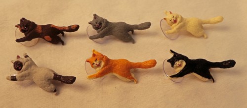 Springende katzen mit - springende,