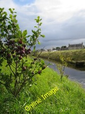 Foto 6x4 Endlich Obst !! Lossiemouth Ich habe diesen Baum am Hang gepflanzt c2014