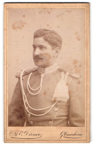 Photograph diener - photograph, e.