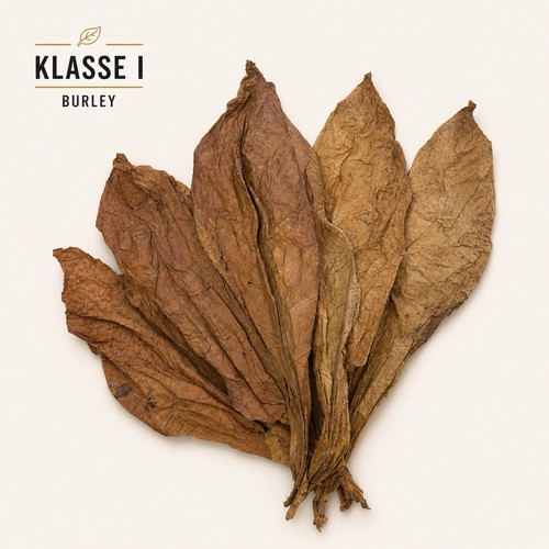 Burley klasse tabakblätter - burley,