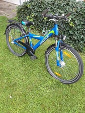 pegasus avanti 24 zoll 7-Gang Narbenschaltung