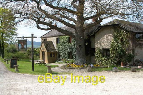Royal oak gretton c2006 - royal,