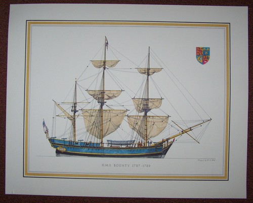 Black friday for hms - black,