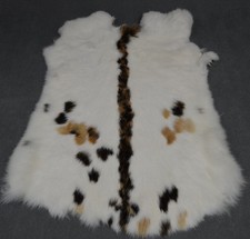 Kaninchen echt fell pelz hasen - echt,
