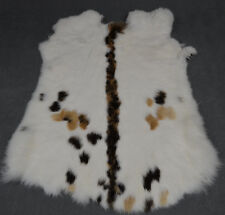Kaninchen echt Fell Pelz Hasen Tierfell Mittelalter Basteln Kaninchenfell DS 28
