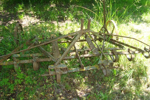 Federzinkengrubber mit