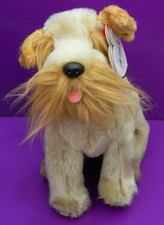 Schnitzel the shnauzer puppy - schnitzel,