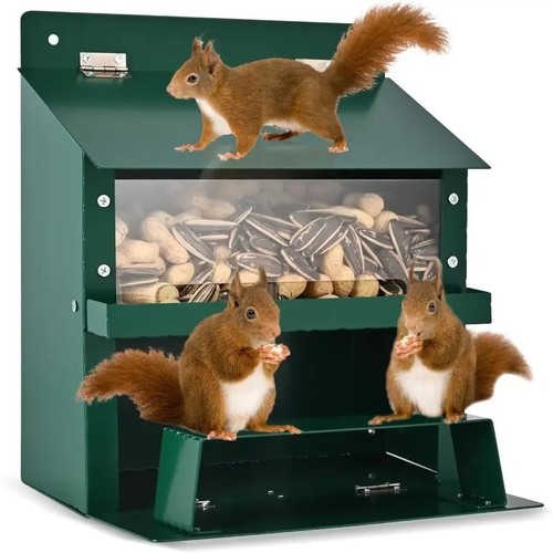 Eichhörnchen futterhaus - eichhörnchen,