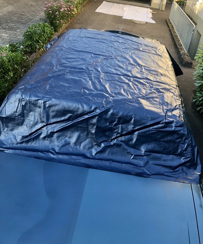 Viny dach car roof - viny,