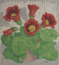 Gloxinie Martin Erich Philipp 1887 Farbholzschnitt