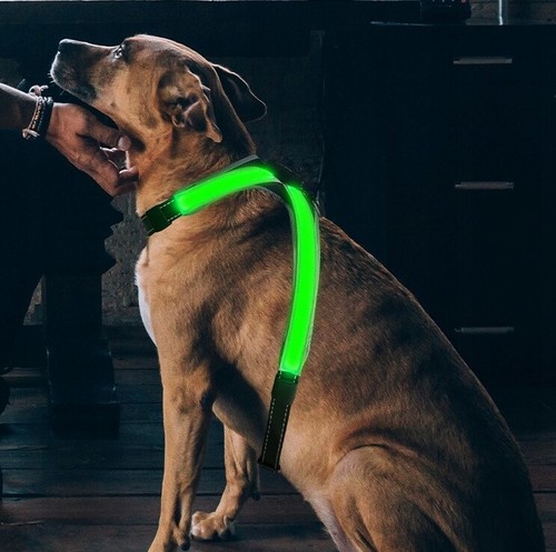 Led hundegeschirr usb - hundegeschirr,