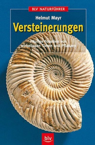 Versteinerungen häufige - versteinerungen:,