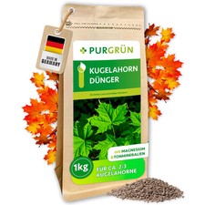 Purgrün Kugelahorn Dünger