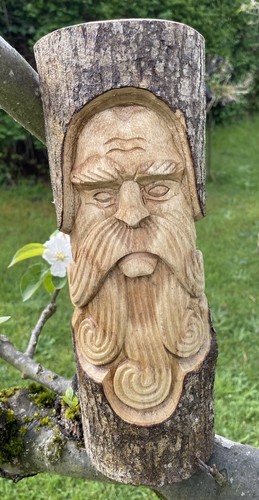 Atemberaubender grüner mann - atemberaubender,