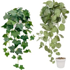 2 Stück Hängepflanzen