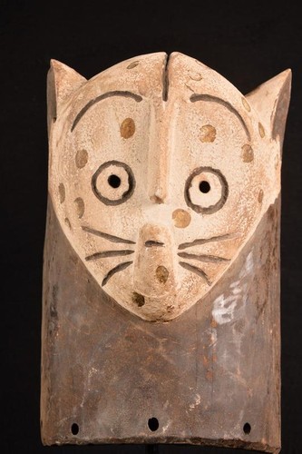 Afrikanische alte leopard - afrikanische,