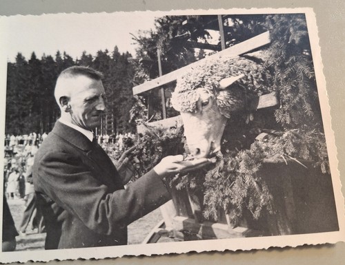 Altes foto vintage eleganter - altes,