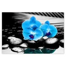 Poster WandTattoo Sticker