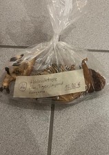 Schleichtiere