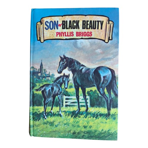 Son black beauty - black, phyllis
