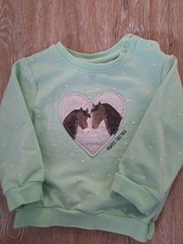 Sweatshirt grün mit