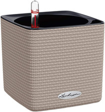 Lechuza Cube Color 16