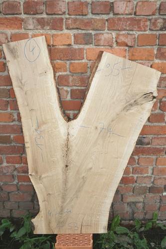 Baumscheibe holzscheibe - baumscheibe,