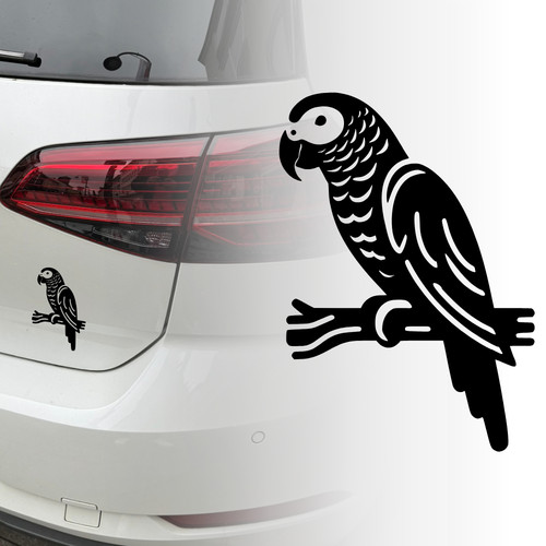 Auto aufkleber graupapagei - auto,