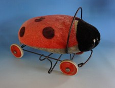 Marienkäfer Reittier auf