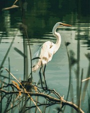 Malen nach Zahlen auf
