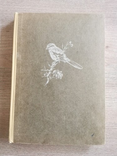 Die vögel wald - die, und