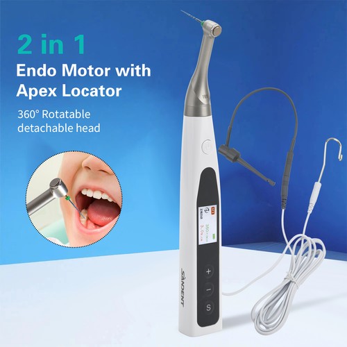 Dental endo motor - endo, apex