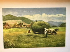 Heuernte im Schwarzwald