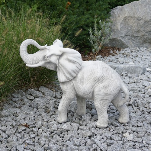Afrikanischer elefant - afrikanischer,