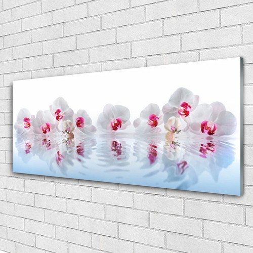 Acrylglasbilder wandbilder - acrylglasbilder,