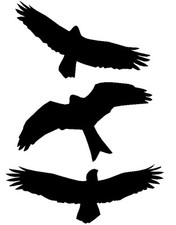 10x Aufkleber Vögel Vogel