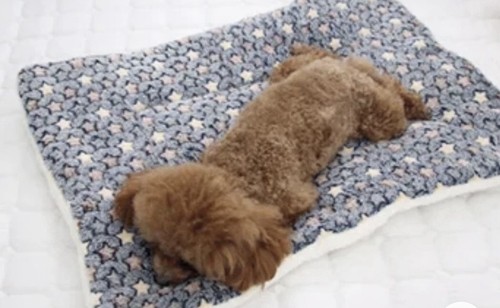 Tierdecke tierbett tier warm - tierdecke,
