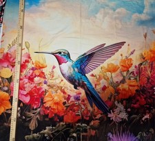 Sommersweat Panele Kolibri