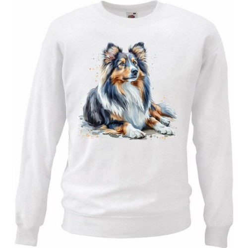 Sweatshirt sweater - sweatshirt,