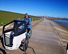 Butchers Bicycles, Elektro Lastenfahrrad, Automatik Schaltung