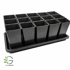 Pflanzen Anzucht-Set aus 15