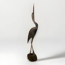 Wunderschöner Kranich Reiher