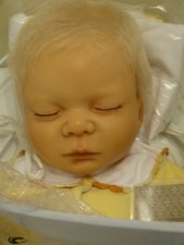 Fa. heart & soul DOMINIK